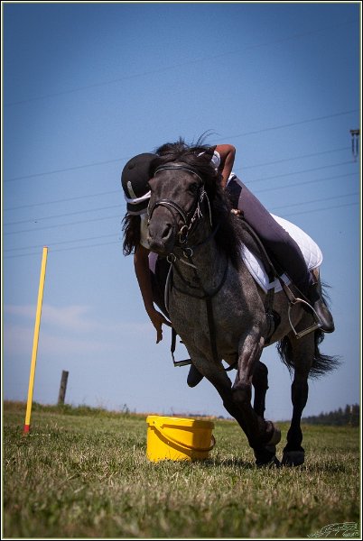 Mounted Games 215